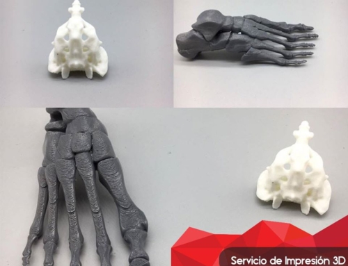 Impresión 3D de Huesos